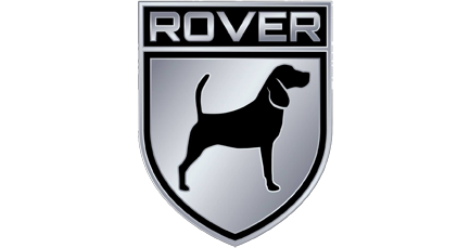 Web Application Development, Rover Logo, Mojoe, Greenville SC